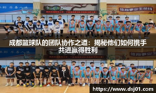 VSport胜利因您更精彩